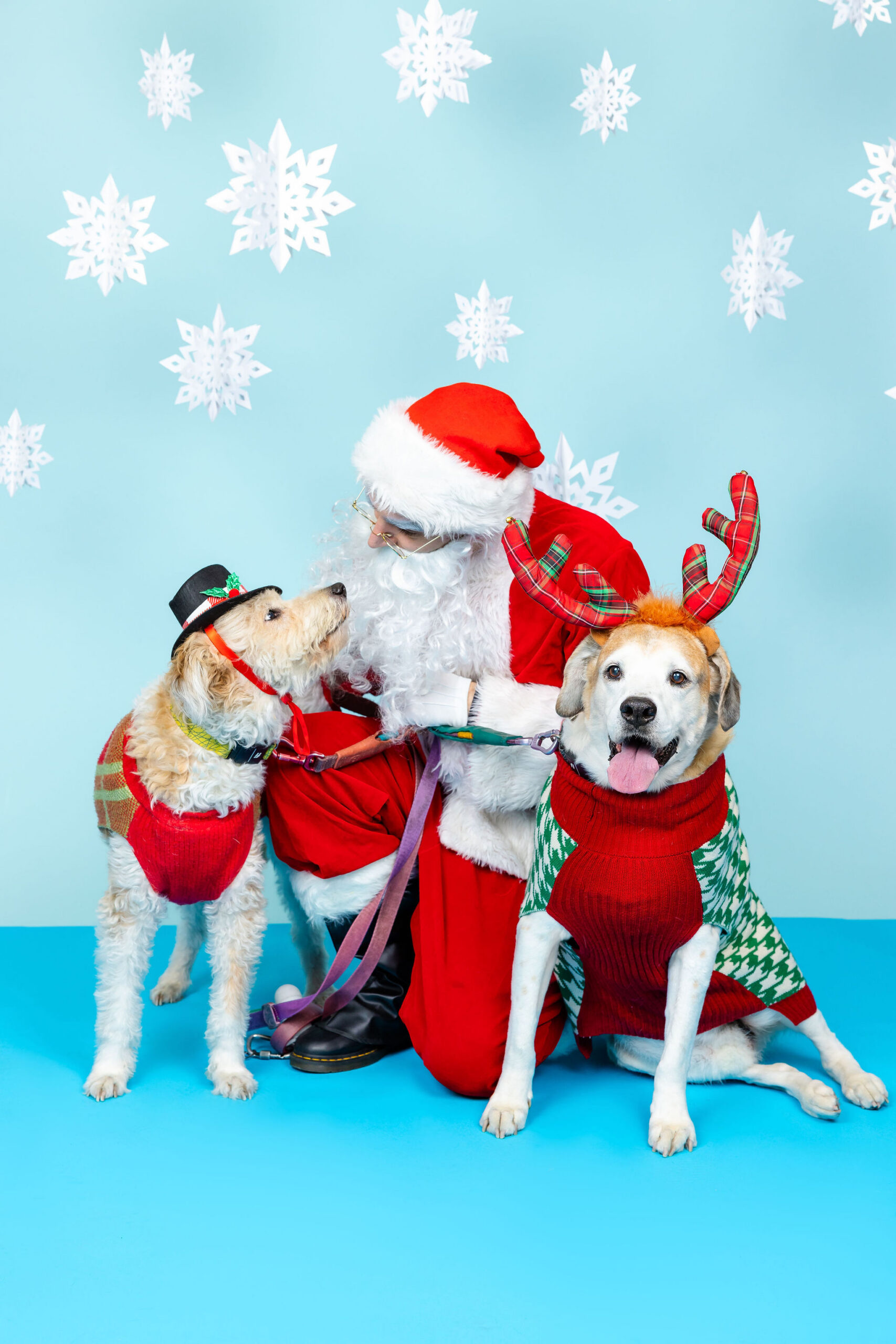 Two dogs dressed in festive holiday costumes with antlers and a top hat posing with Santa at a colorful Bay Area dog photos with Santa fundraiser in Oakland, CA